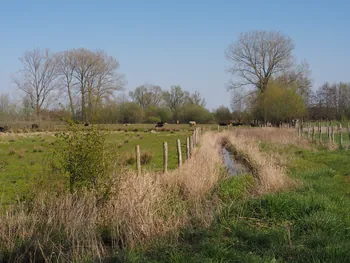 Kalkense Meersen (België)